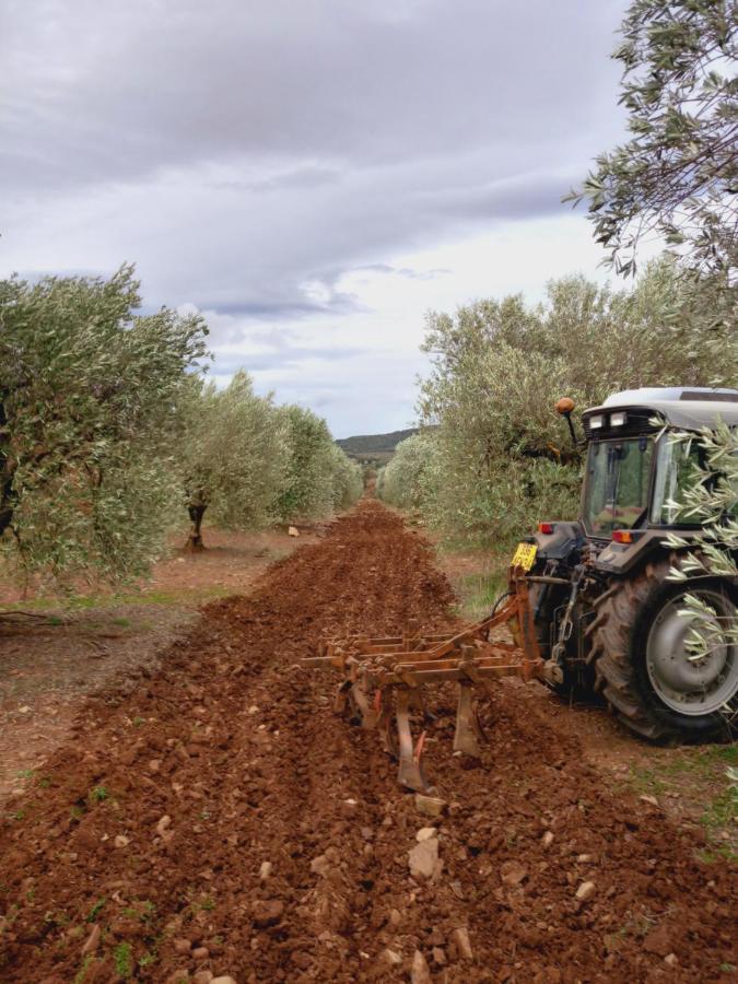 Escale Au Salagou Le Bosc  Kültér fotó